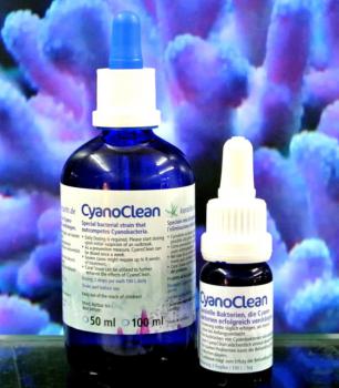 Korallenzucht CyanoClean 100 ml