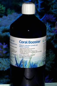 Korallenzucht Coral Booster 500 ml